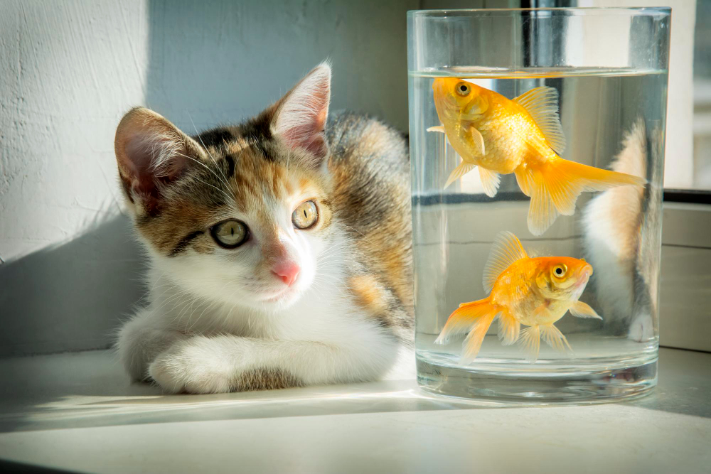 funciones-tejidos-blandos-en-animales