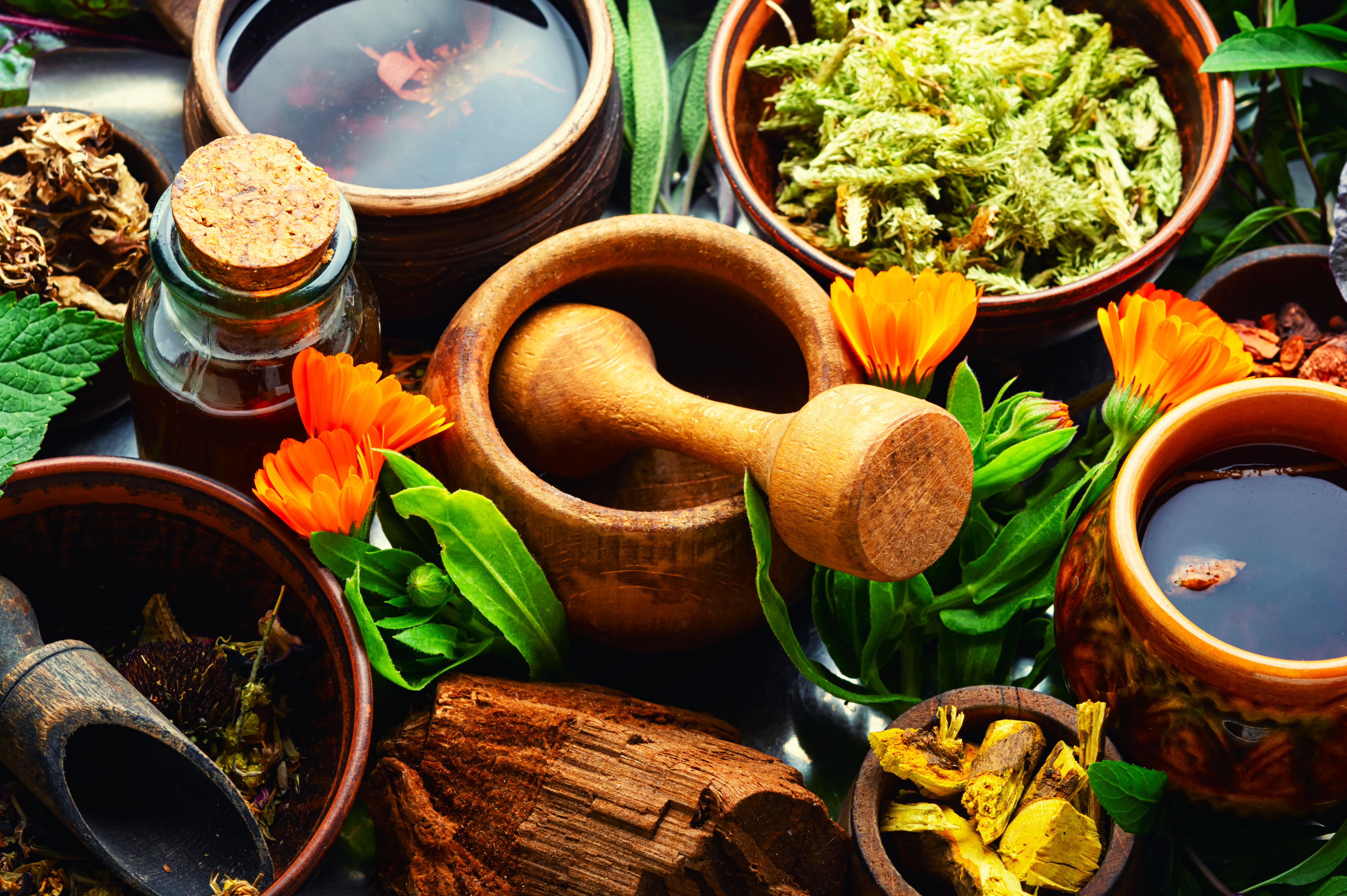 medicina-alternativa-medicina-herbaria