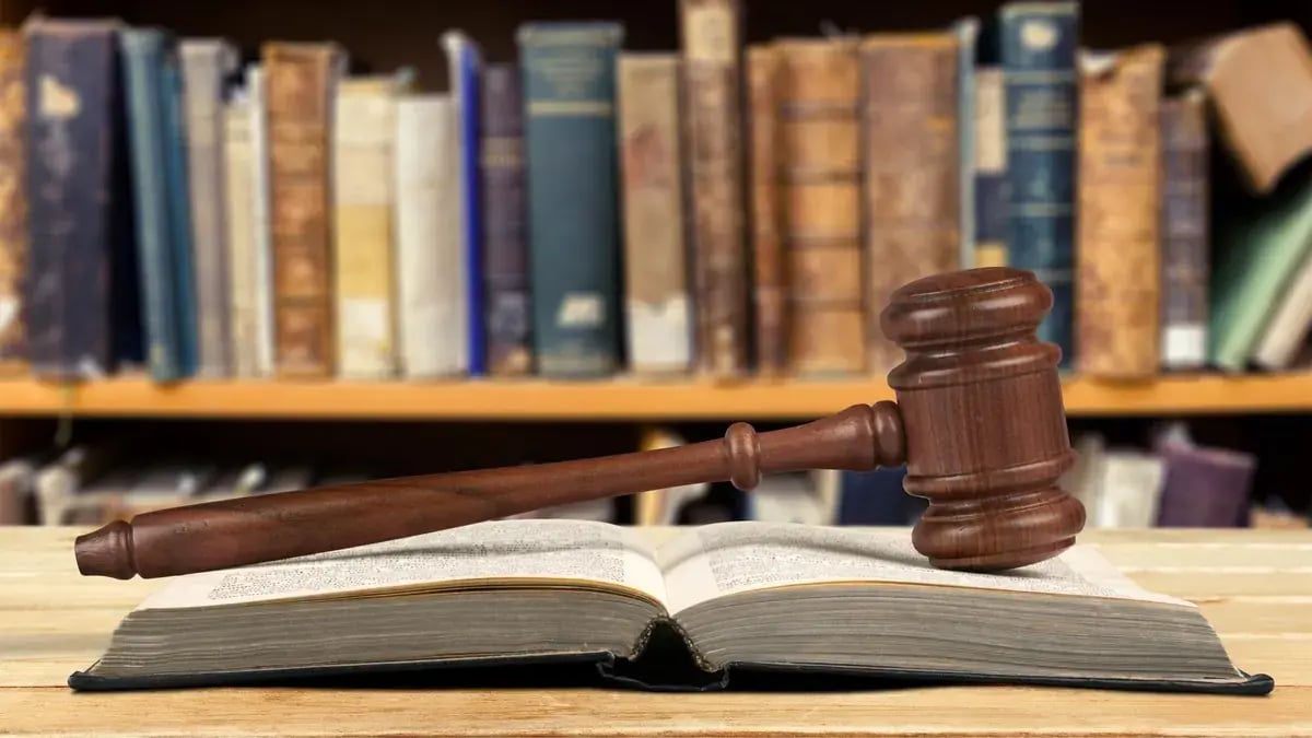 Qué es el derecho constitucional: conceptos clave